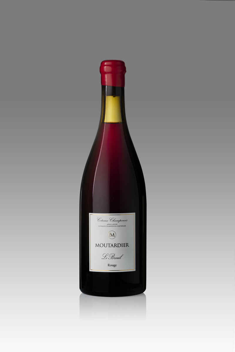 Les nichoirs à chauve-souris pour aider la vigne - Site Officiel des vins  Cadillac Côtes de Bordeaux