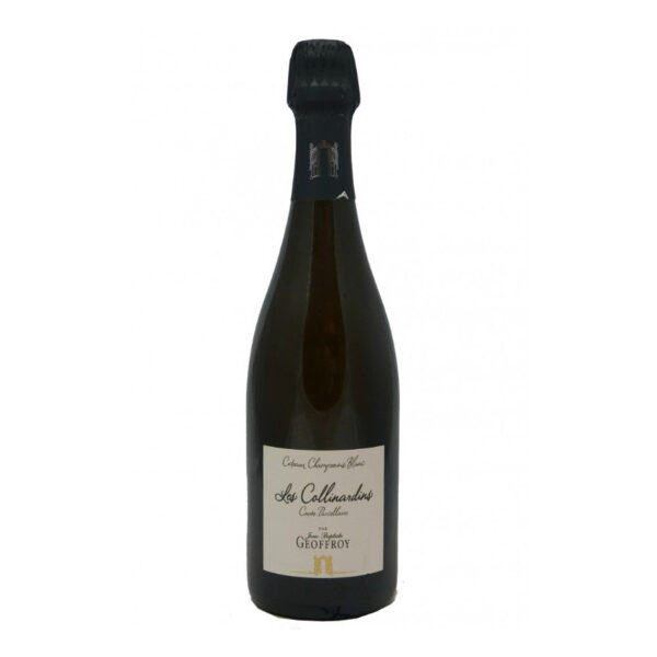 Geoffroy - Coteaux champenois blanc Les Collinardins 2018